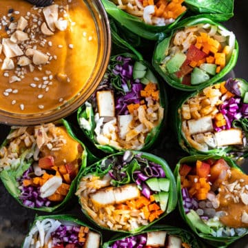 Spicy Thai Peanut Salad Rolls and Dipping Sauce.