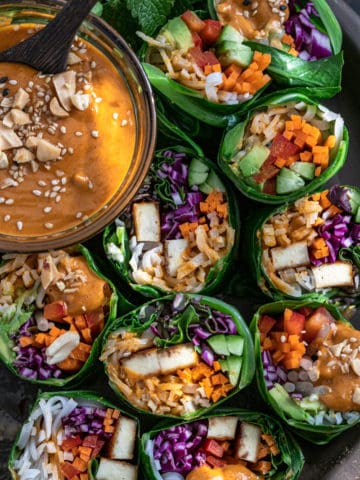 Spicy Thai Peanut Salad Rolls and Dipping Sauce.