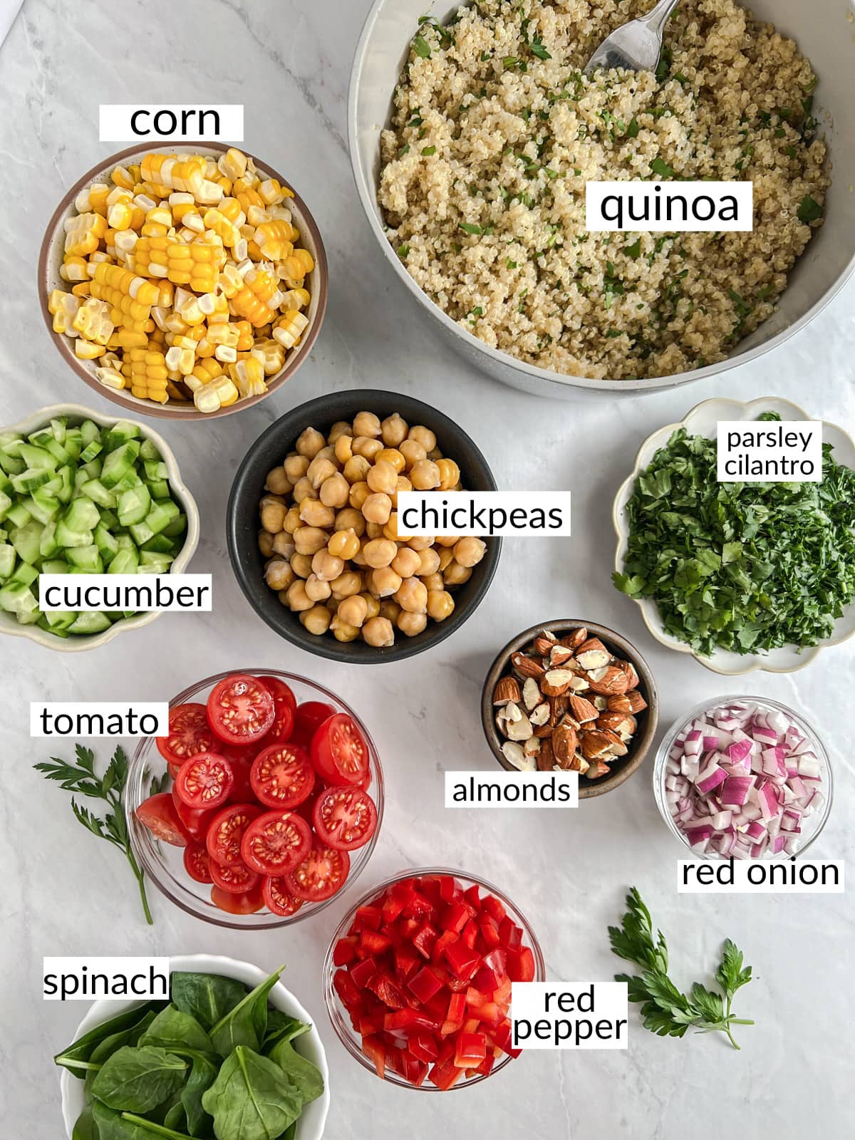 Ingredients for veggie packed quinoa salad set out in individual containers on the counter.