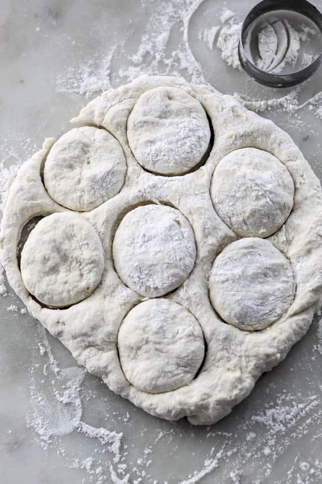 Fresh biscuit dough rolled out with 7 round biscuit cutouts.