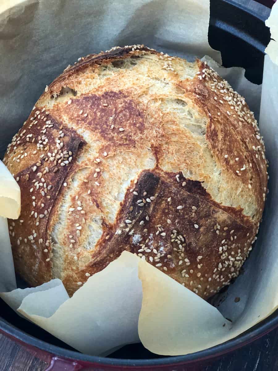 Freshly baked rustic no knead bread loaf surrounded in a Dutch oven.