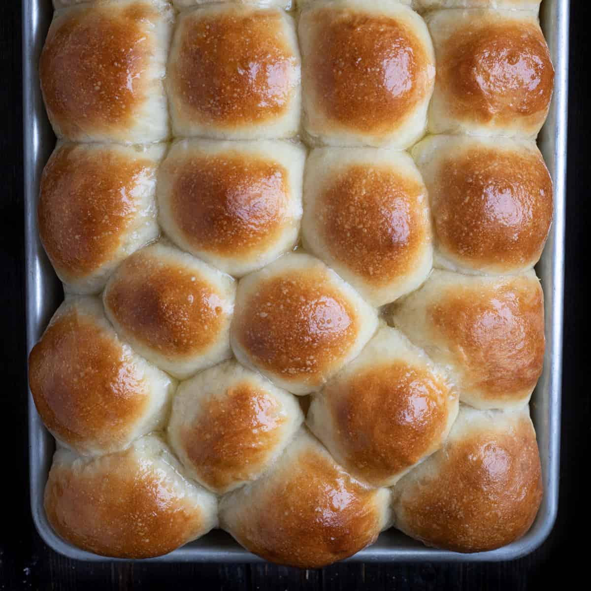 Homemade Potato Rolls - Brand New Vegan