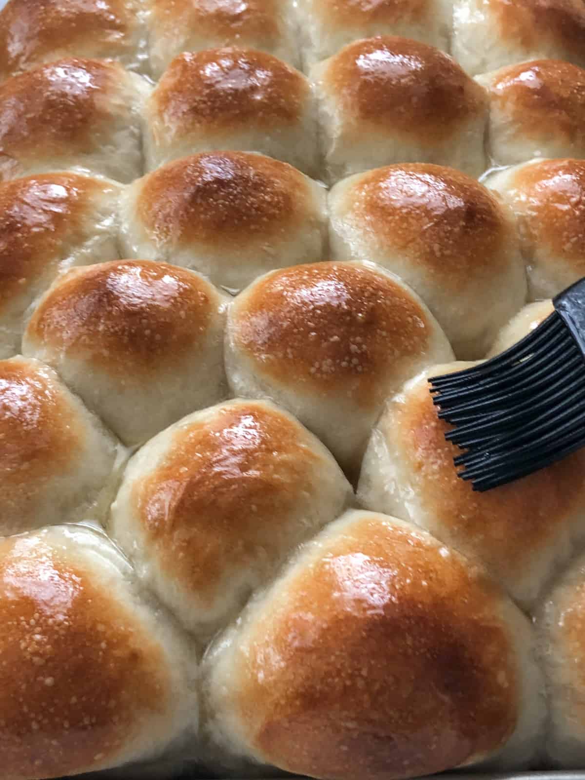 Homemade dinner rolls being brushed with butter.