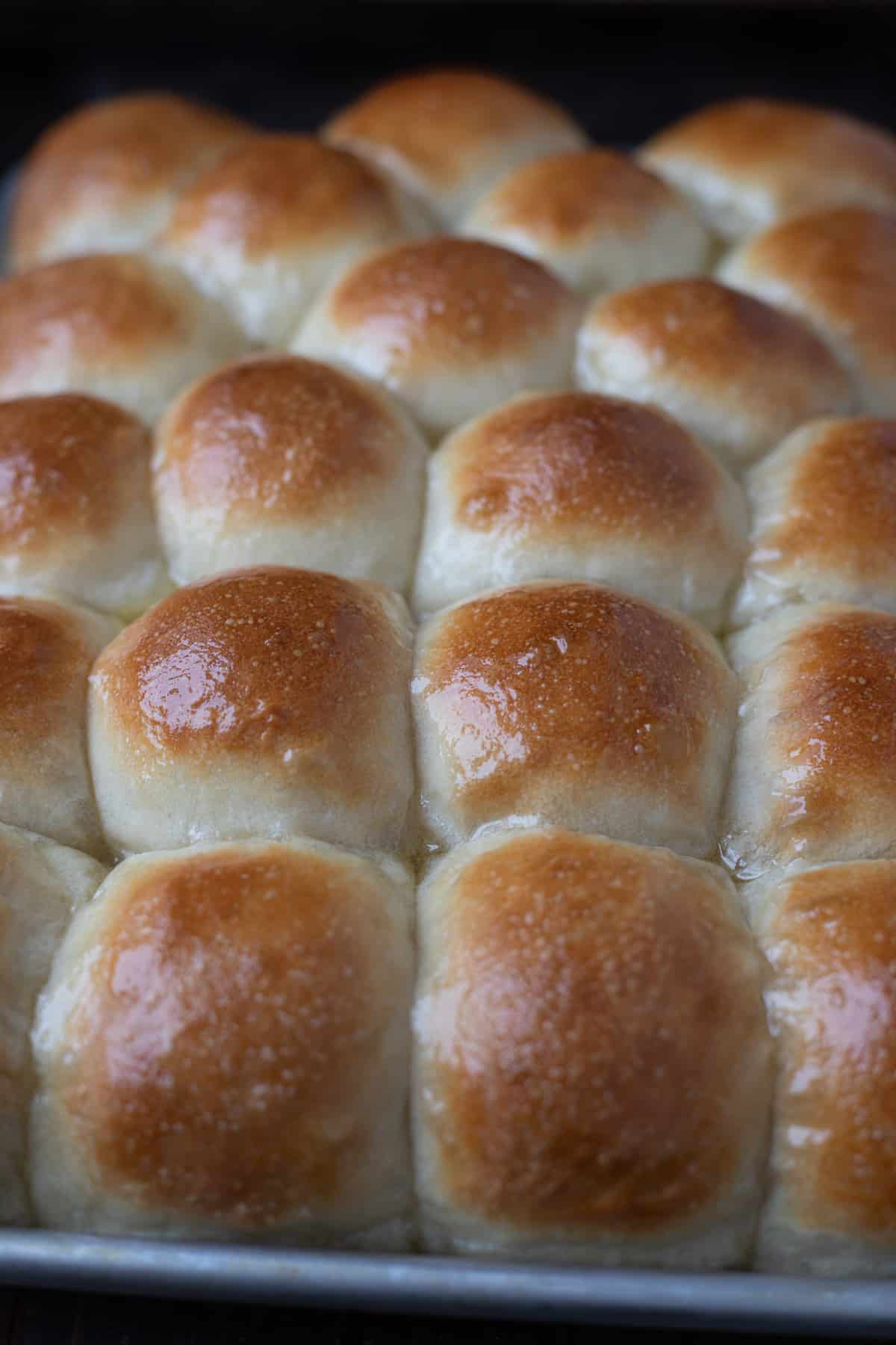 Freshly baked vegan dinner rolls brushed with butter on sheet pan.