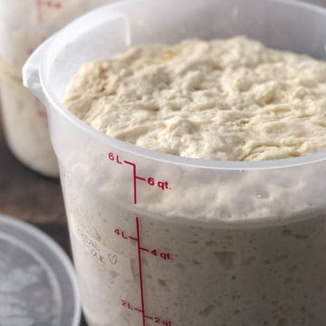 Big bucket of all purpose bread dough proofing on counter.