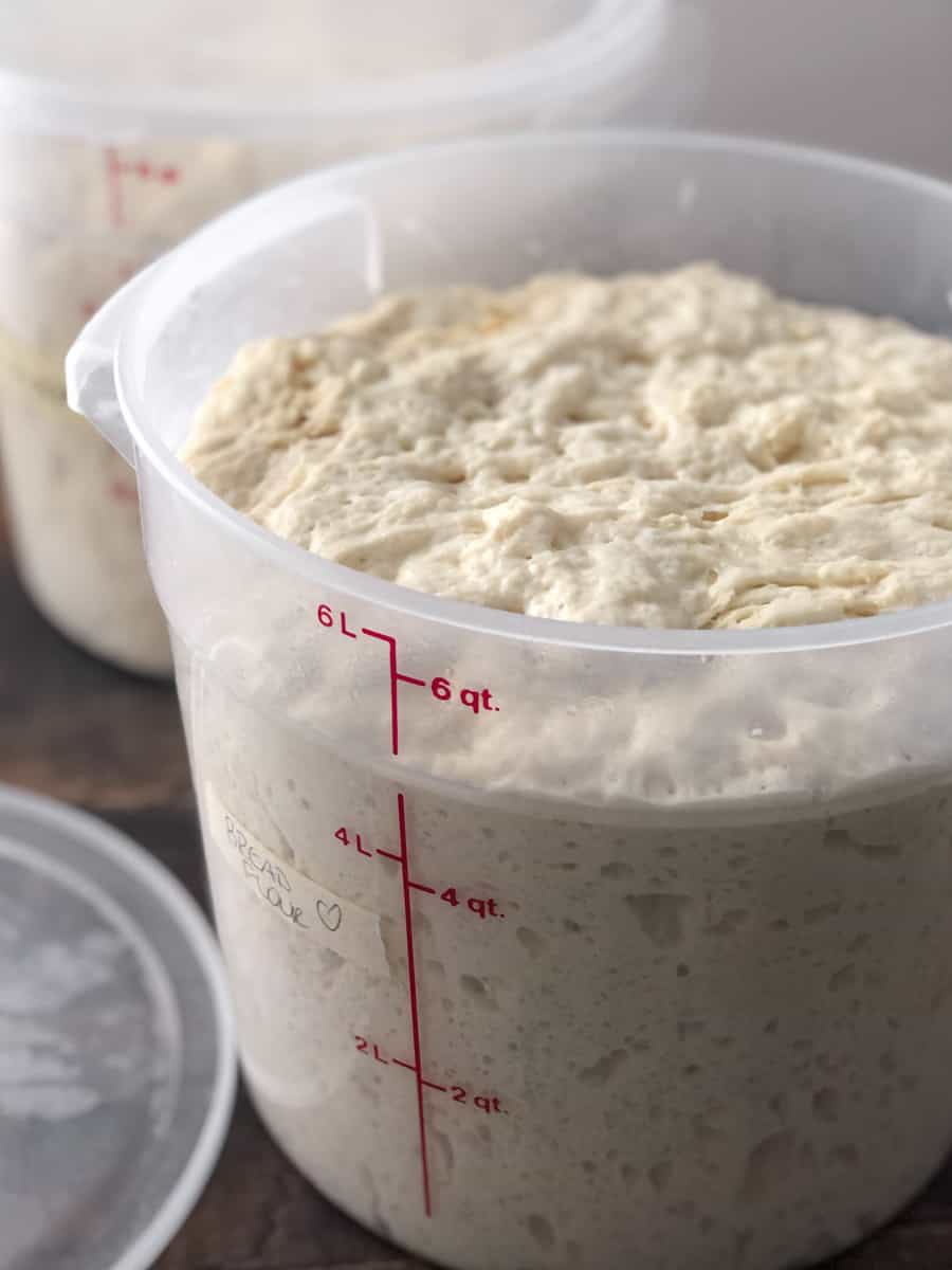 Big bucket of all purpose bread dough proofing on counter.