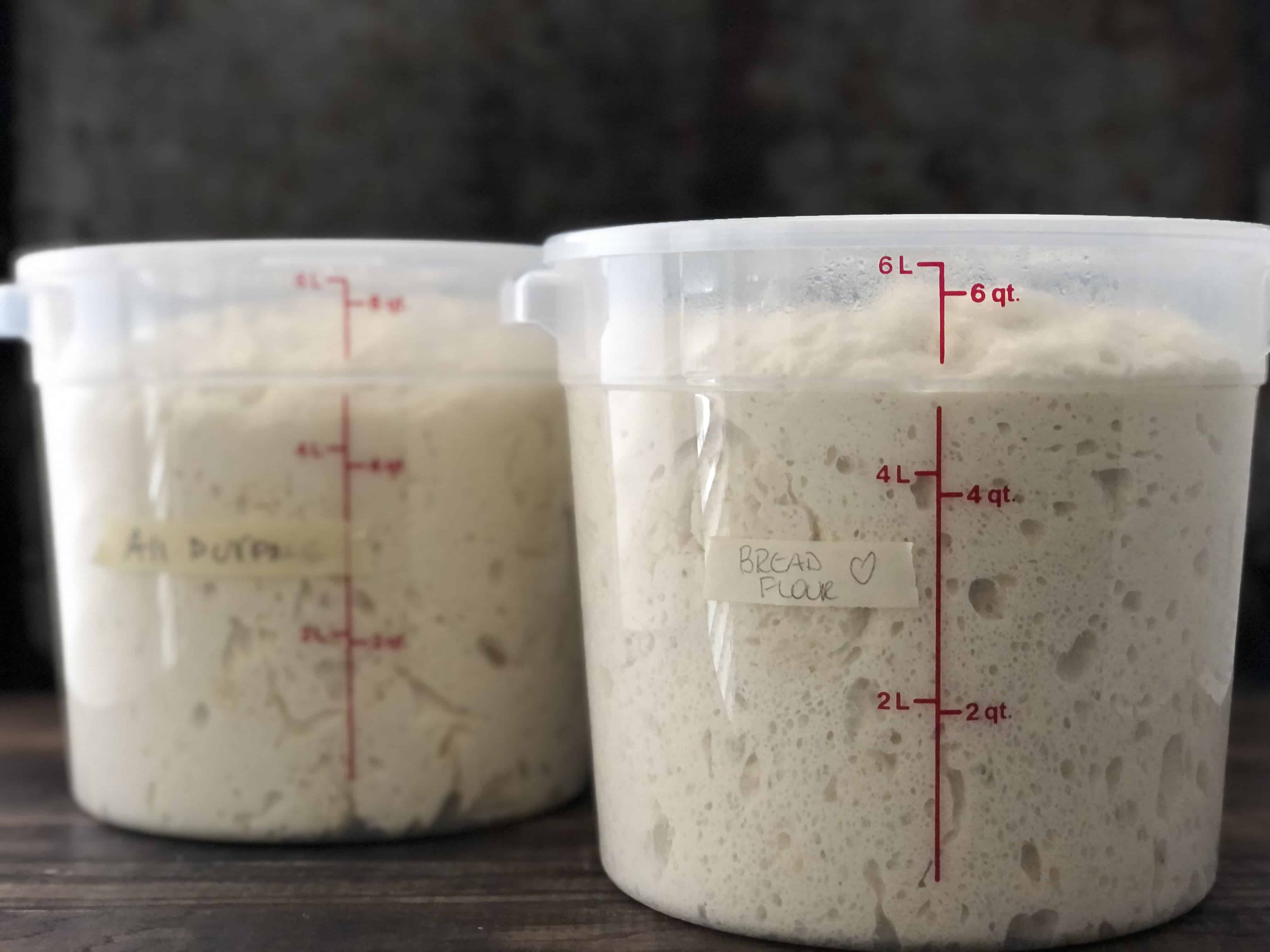 Two buckets of proofed bread dough ready to bake.