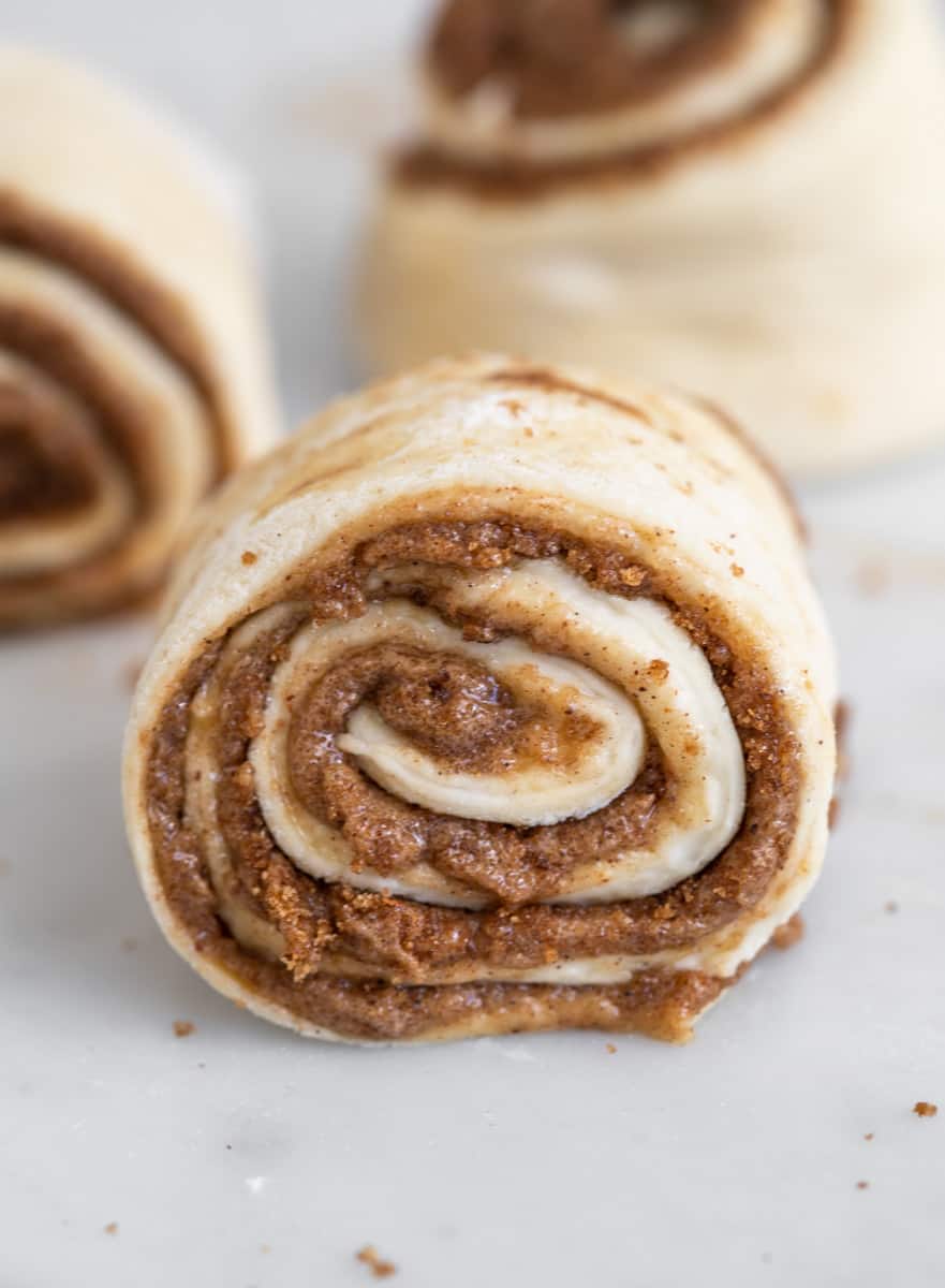 Unbaked cinnamon roll scroll.