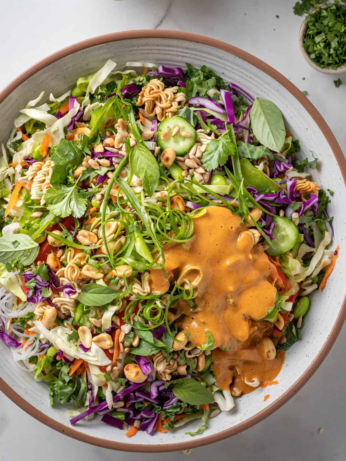 Large Asian slaw with peanut dressing drizzled on top.