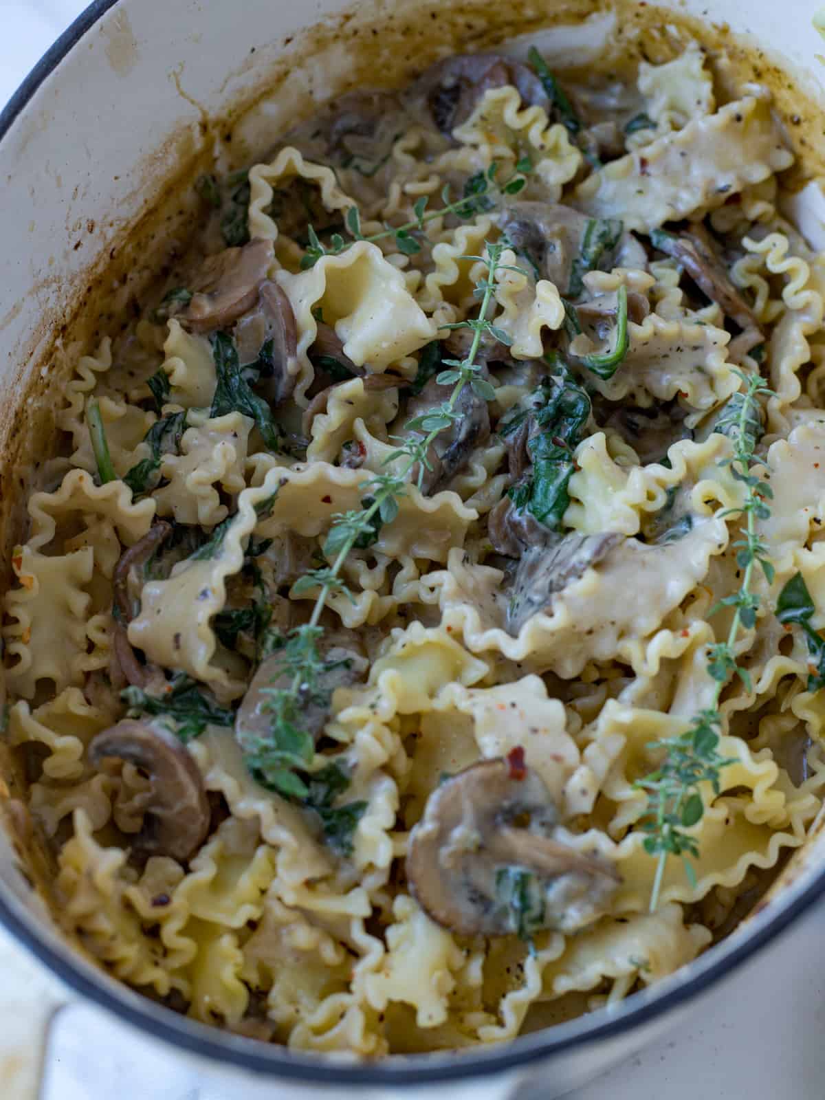 Big Dutch oven full of mushroom pasta sauce.