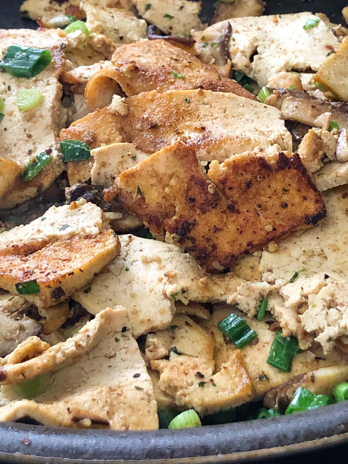 Close up shot of fried turkey tofu with sliced green onions.