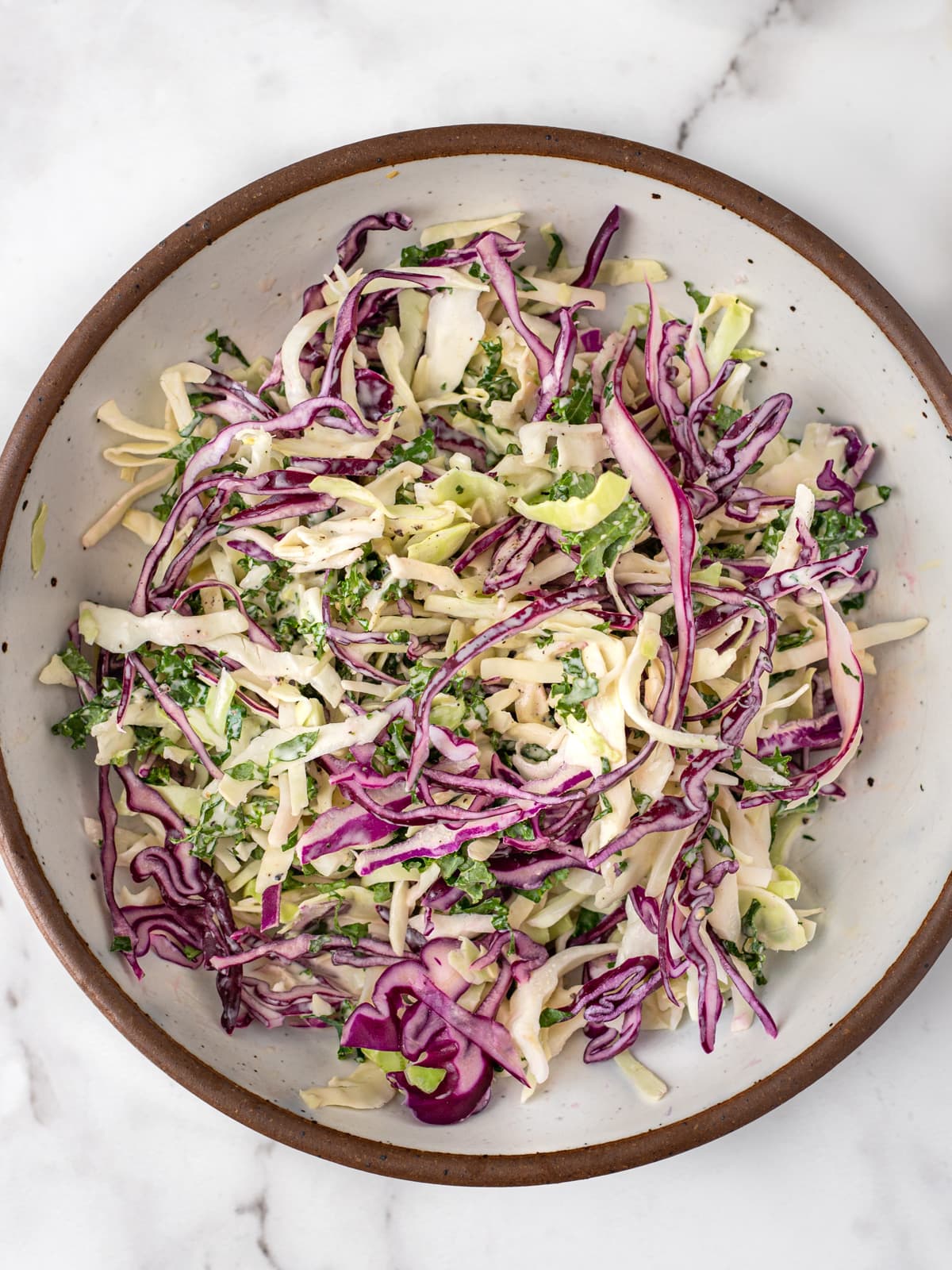 Bowlful of rainbow colored shredded cabbage in a dairy-free coleslaw dressing.