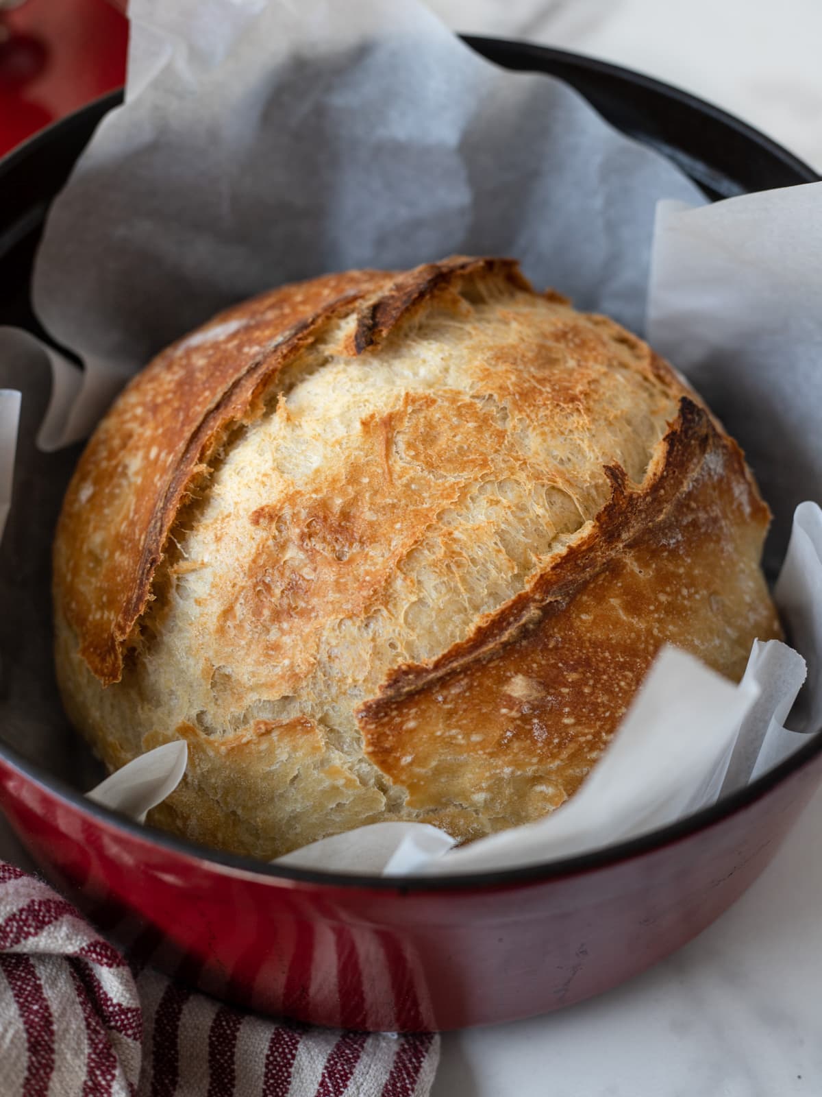 Freshly baked homemade bread in red Dutch oven surrounded by parchment paper.