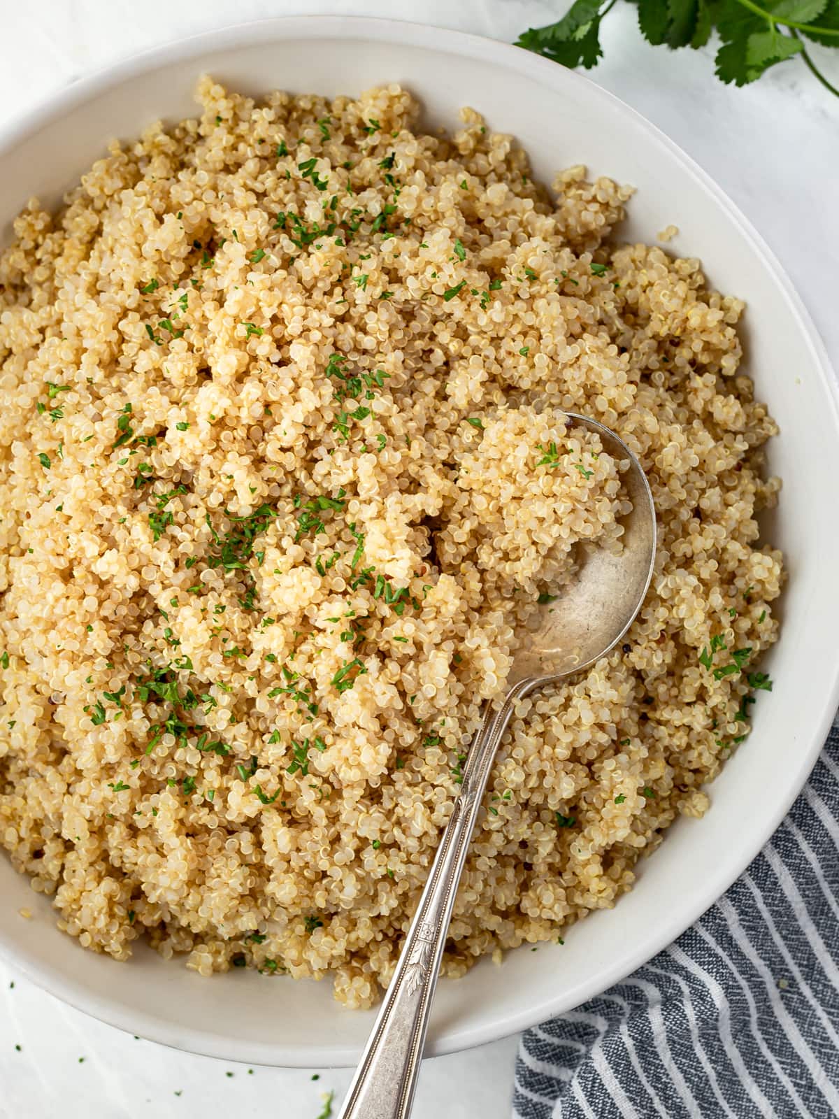 Bowlful of cooked whole grain organic quinoa.